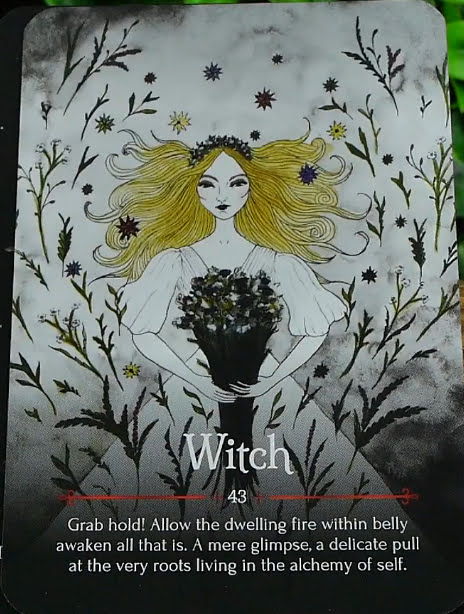 Seasons of the Witch Samhain Oracle